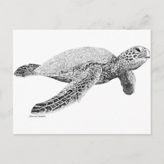 Carte Postale Tortue de mer verte