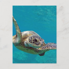 Carte Postale Tortue de mer verte d'Hawaii - Honu