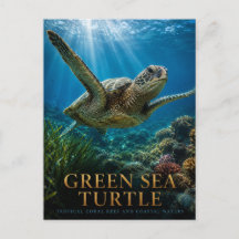 Tortue de mer verte récif de corail ANIMAUX