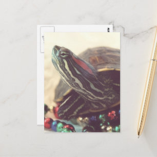 Carte Postale Tortue de Noël