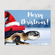 Tortue de Noël