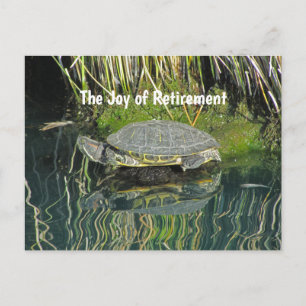Carte Postale Tortue de retraite avec réflexion sur l'eau Nature