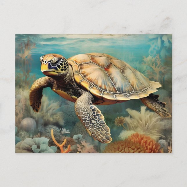 Carte Postale Tortue Des Rives Tranquilles (Devant)