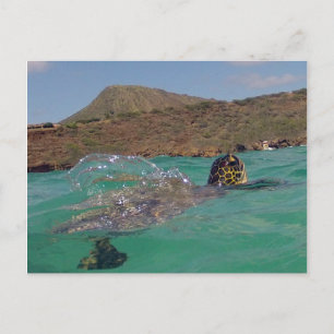 Carte Postale Tortue Hawaii de la baie de Hanauma