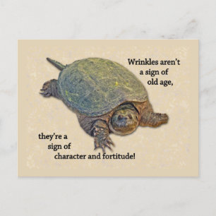 Carte Postale Tortue serpent Rincée Sagesse de la vieillesse