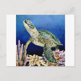 Carte Postale Tortue verte