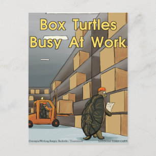 Carte Postale Tortues Boîtes Drôles Au Travail