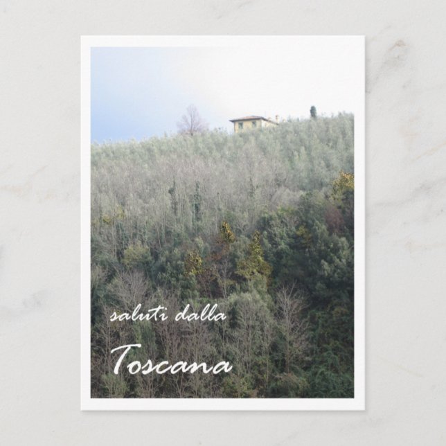Carte Postale Toscane (Devant)