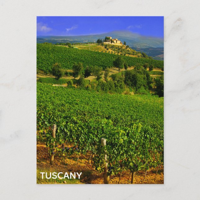 Carte Postale Toscane Italie Villa Vignoble Italien Voyage (Devant)