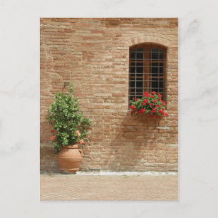 Carte Postale Toscane plantes de pot