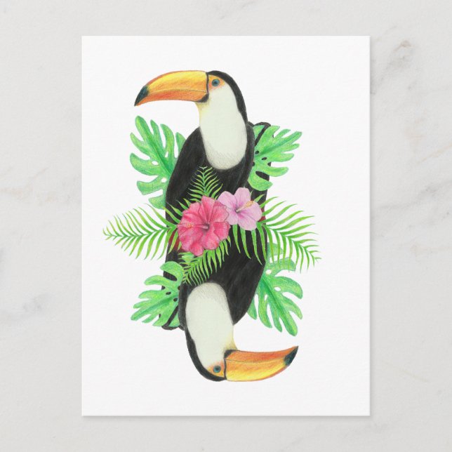 Carte Postale Toucan en Feuille tropicaux (Devant)