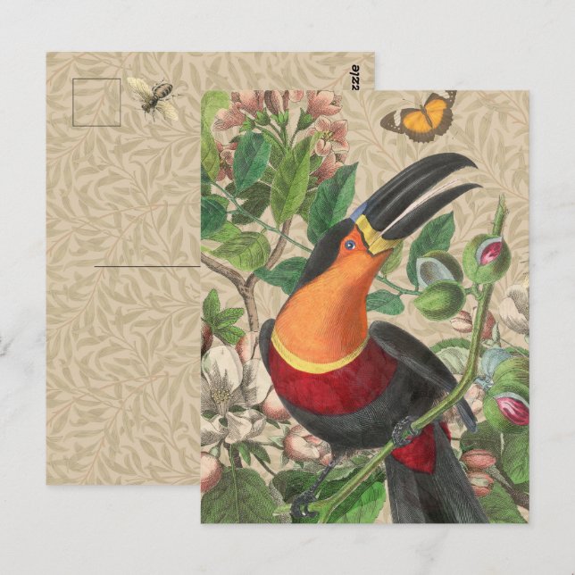 Carte Postale Toucan Jungle Oiseau Tropical Beau Antique (Devant / Derrière)