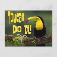 Toucan Le Fait ! Coloré Motivationnel Oiseau amusa