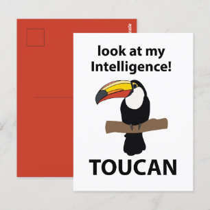 Carte Postale Toucan tropical drôle