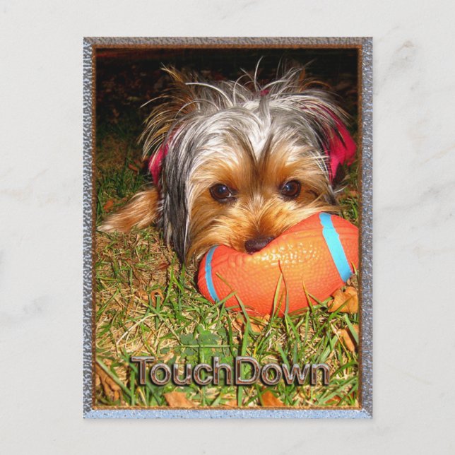 Carte Postale TouchDown Yorkie (Devant)