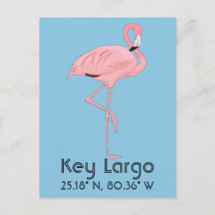 Carte Postale Touches Largo FL Flamant rose Latitude Longitude