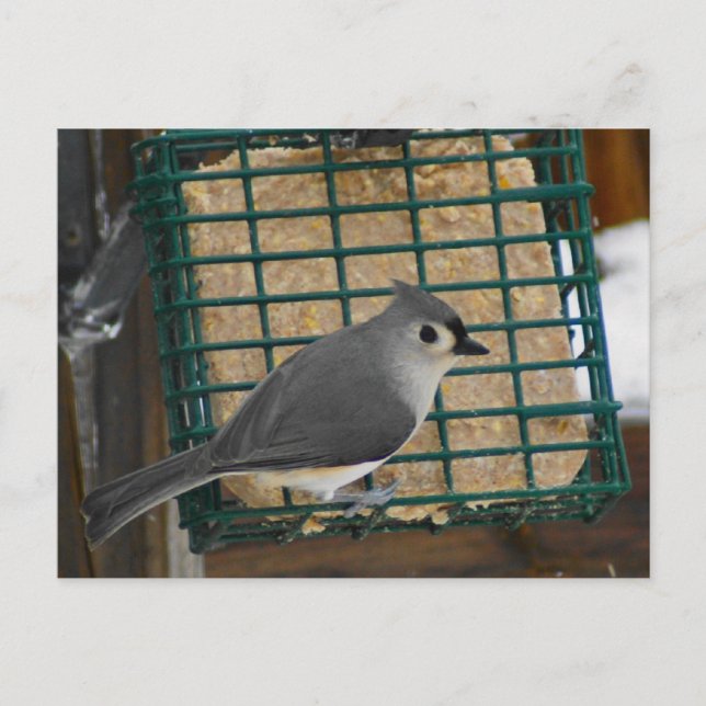 Carte Postale Touffé (Devant)