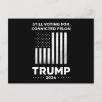 Toujours votant pour le criminel condamné Trump 20