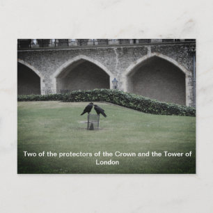 Carte Postale Tour des Ravens de Londres