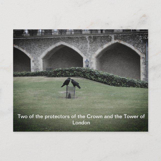 Carte Postale Tour des Ravens de Londres (Devant)