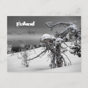 Carte postale tourisme Finlande