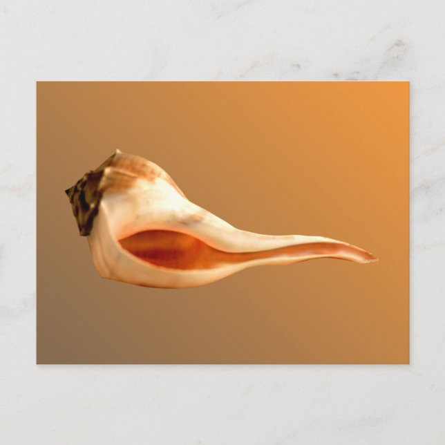 Carte Postale Tourner à gauche (Devant)