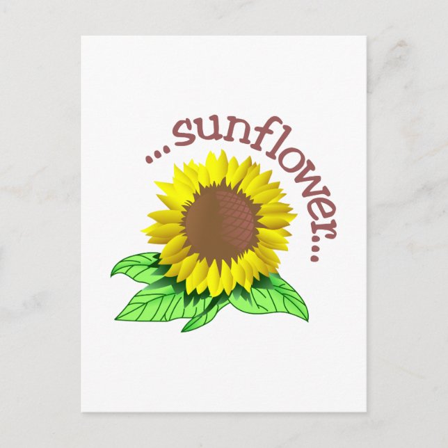 Carte Postale Tournesol (Devant)
