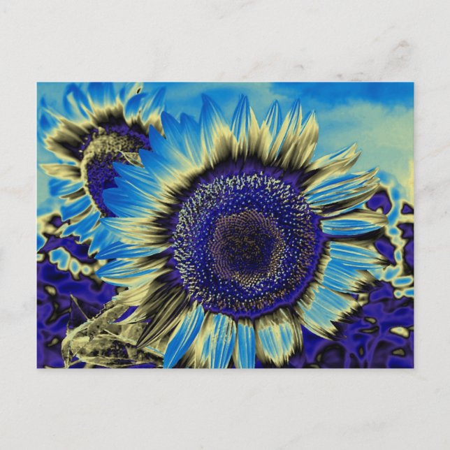 Carte Postale Tournesol bleu (Devant)