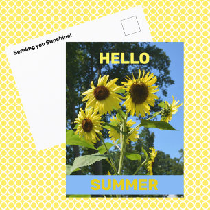 Carte Postale Tournesol Bonjour Été Floral Photographique