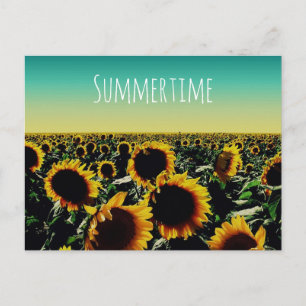 Carte Postale Tournesol Été