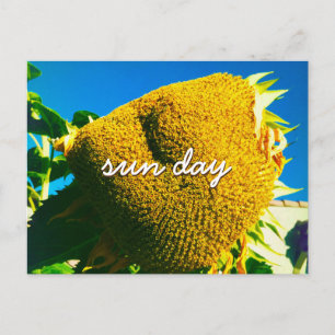 Carte Postale Tournesol Jaune Photo Jour du Soleil Citation Scri