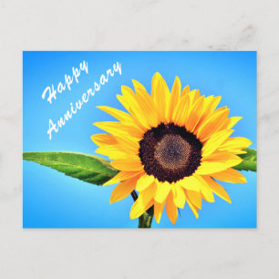 Carte Postale Tournesol jaune sur le ciel bleu Anniversaire Cart