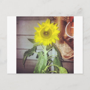 Carte Postale tournesol neuf dans l'après-midi