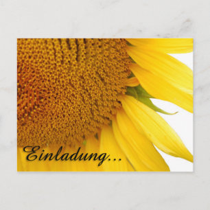 Carte Postale Tournesols