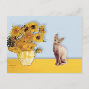 Carte Postale Tournesols - Chat Sphyx crème