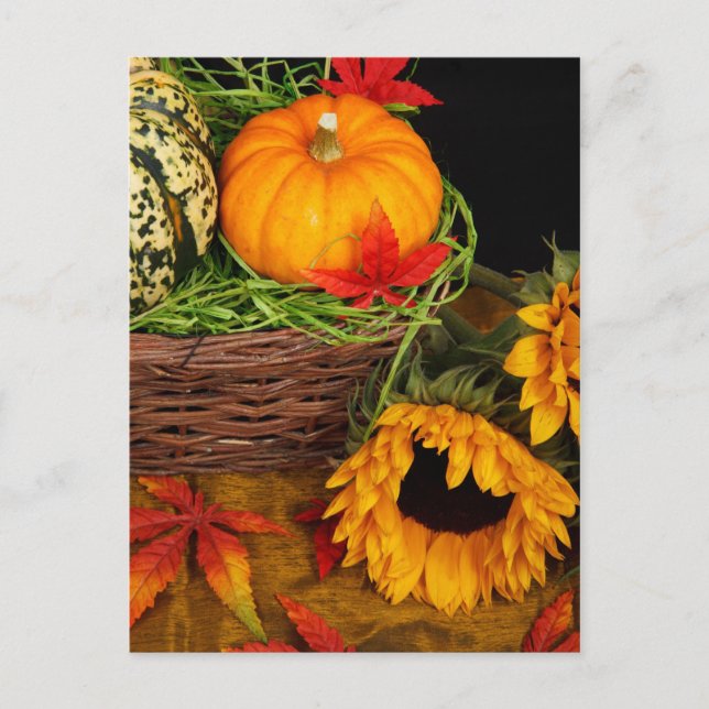 Carte Postale Tournesols de récolte d'automne (Devant)