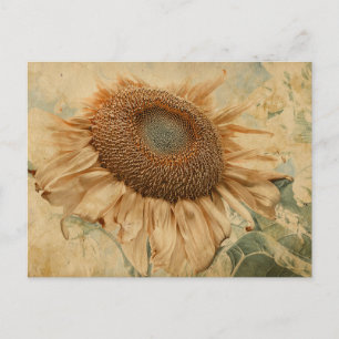 Carte Postale Tournesols géants Jaune Ancien Art Découpage Vinta