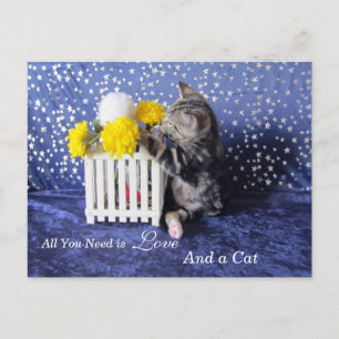 Carte Postale Tout ce dont vous avez besoin est l'amour - et un 