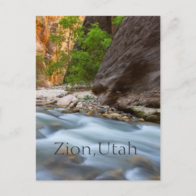 Carte Postale Tout le long des Narrows (Devant)