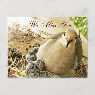 Carte Postale Toutes-occasions_