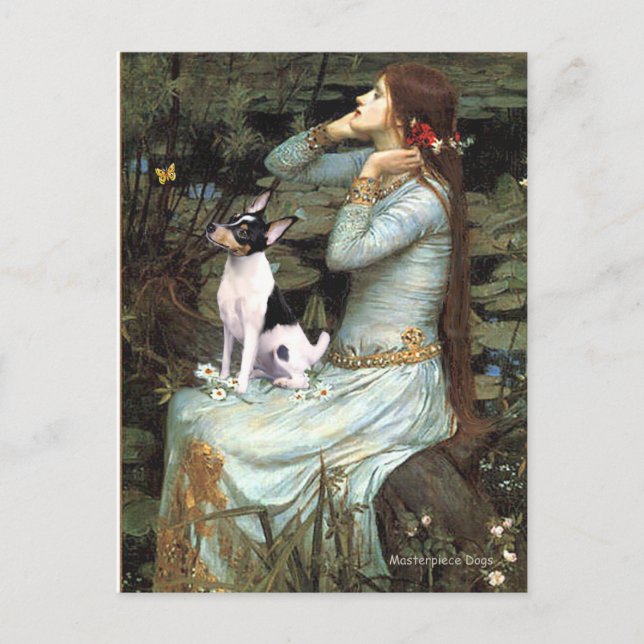 Carte Postale Toy Fox Terrier - Ophelia assis (Devant)