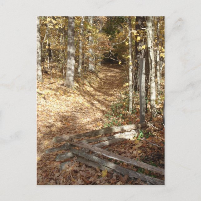 Carte Postale Trace Trace de Natchez à l'automne (Devant)