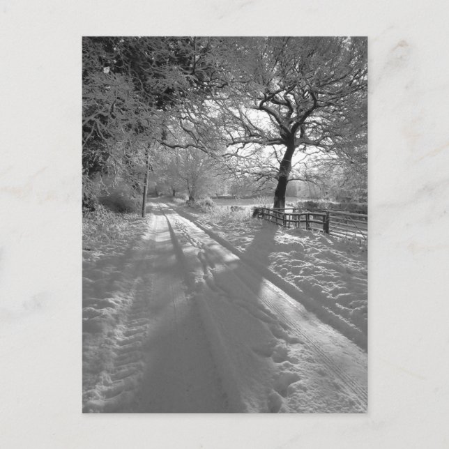 Carte Postale Tracks in the Snow: Cheshire (Devant)