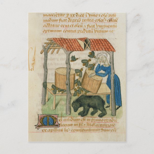 Carte Postale Tractatus de Herbis (Devant)