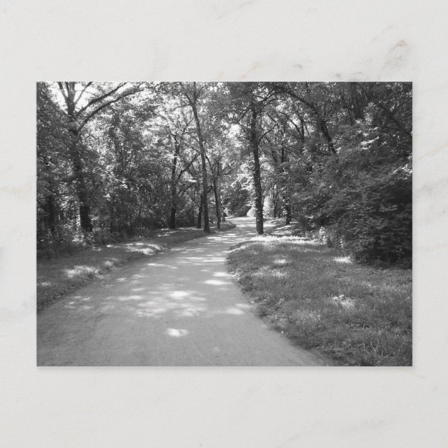 Carte Postale Trail à travers les bois (Devant)