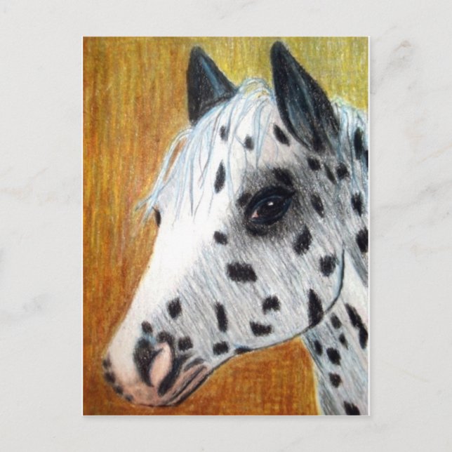 Carte Postale "Trail Ride" Appalloosa Horse (Devant)