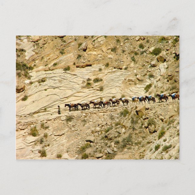 Carte Postale Train Havasu Canyon Pack (Devant)