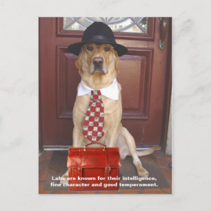 Carte Postale Traits de laboratoire - Caractère fin