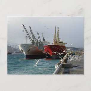 Carte Postale Trampers & Seaguls, port néerlandais, AK