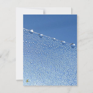 Carte Postale Tranquille, Méditative, Bleu Dégustation